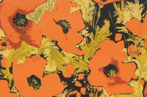 A sea of large, pumpkin orange poppies, whose petals appear to be blowing in the wind, amidst pale greenish-yellow grass and a black background.