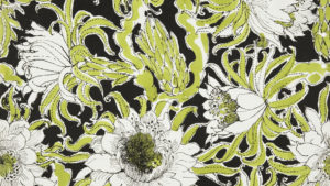Large, lively, many-petaled white flowers bloom out from pea green tendrils of leaves, all set against a black background.