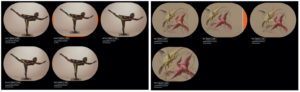 A horizontal block of two images, each containing multiple versions of the same image. To the left, five versions of a bronze sculpture of a human figure, with clock hands and times aligned in each image in more or less the same way. To the right, four versions of a painting of two birds, with many different angles and times identified among them.
