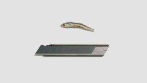 A photograph of a box cutter-type knife below a tiny dead fish that is about one-third the size of the knife.