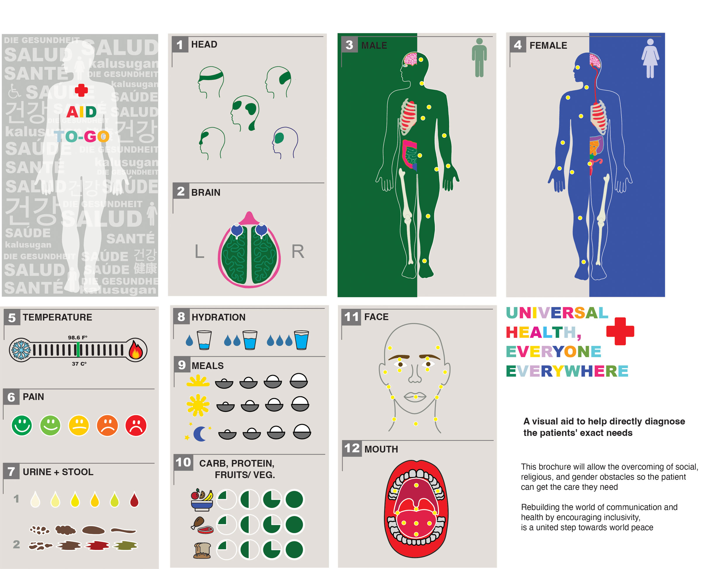 Eight posters featuring graphics depicting different areas of the human body as well as visual scales for different pieces of information like temperature, pain, and hydration.