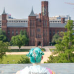 A person with green hair and rainbow–tie dye shirt is pictured, from behind, gazes at the brownstone Smithsonian Castle before them.