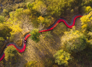 An aerial view of a park with a curvy red line, following the path of the sidewalk, running diagonally across the image.