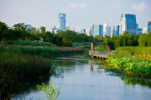 A river lies in the middle of lush greenery and an elevated path on the right, with city buildings in the background.