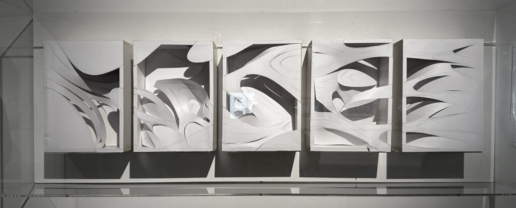 Five adjacent rectangular boxes made of paper, with an interconnected swirling design cut across the front of them.