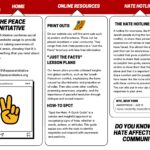 Our website, The Peace Initiative, features three components: a hotline for students to share experiences of racial hate, fostering empathy among victims; mandatory lesson plans for teachers to offer unbiased insights into global conflicts; and a â€œSpot the Hateâ€ guide that helps identify signs of hate.