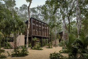 A dark brown slatted wood large bungalow building on stilts, surrounded by a lush landscaped jungle.