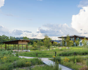 Campus greenspace with a grass and stone amphitheater, sprigs of yellow flowers and taller grass, and a series of angular cabin-like structures all connected by a curving wooden walkway.