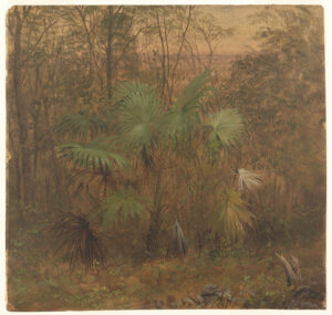 Painted detail sketch of a short palm tree centered against a brown toned interior of a jungle.