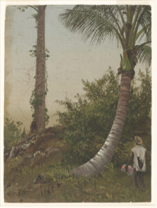 Detailed painted sketch of a dark skinned person on the lower right hand corner looking up at two palm trees.