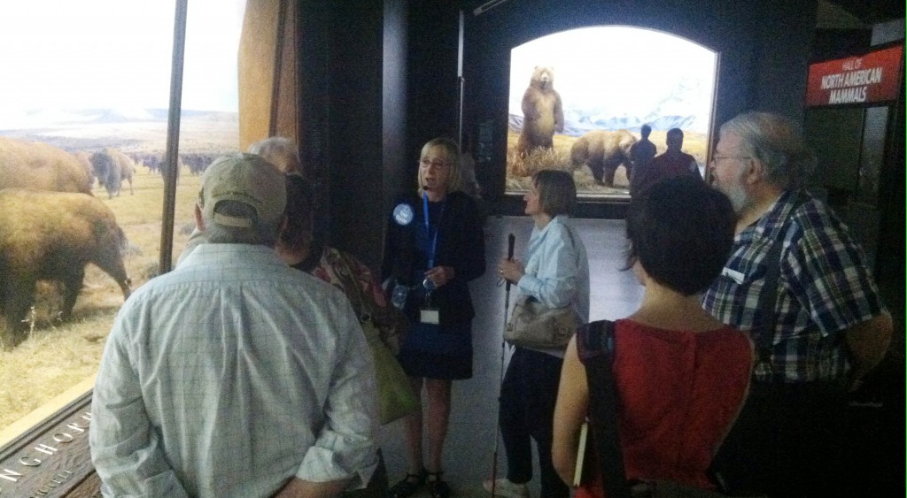 In a very dimly lit gallery, Irene stands with a group of attentively listening museumgoers on her left, and a brighly lit diorama of taxidemy bison on her right. She wears a blue employee badge and microphone headset. 