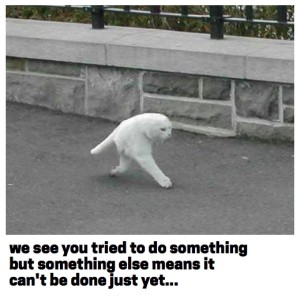 streetview-cat-words